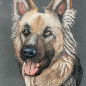 German shepherd hund